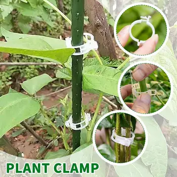 200/100pcs Пластмасови клипове за поддръжка на растенията Градински зеленчуци за многократна употреба Лозови клипове Изправени опорни стъбла Растение Домат Grow N7M1
