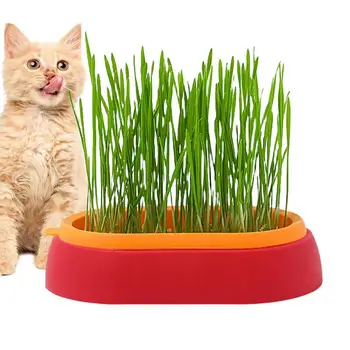Pet Cat Grass Planter Box Хидропонна котешка трева Растениевъдна саксия Без почва Котешки закуски Кълняемост Саксия Кутия за отглеждане