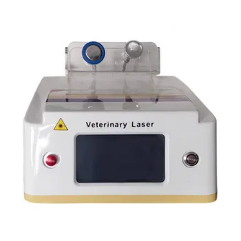 Ветеринарно лазерно оборудване Ветеринарна употреба Студен лазерен лазер 960Nm Vet и по-големи животни Терапевтичен Lase Rlow ниво лазер Therap